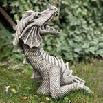 Drake Skulptur Trädgård